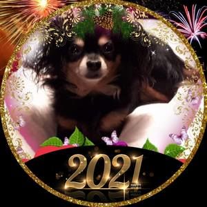 Meet your Posher, Celeste